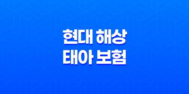 현대 해상 태아 보험 1초 가입 - 불필요 특약, 제왕 절개, 산모 가입 후기 8 현대 해상 태아 보험 1초 가입 - 불필요 특약, 제왕 절개, 산모 가입 후기 7