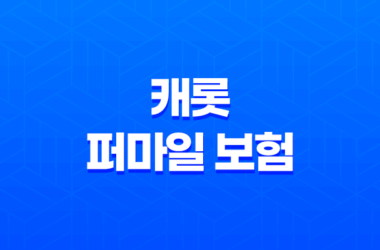 캐롯 퍼마일 보험 - 2025년 꼭 알아야 할 최신 정보 - 캐롯 퍼마일 자동차보험 장단점 및 후기 9