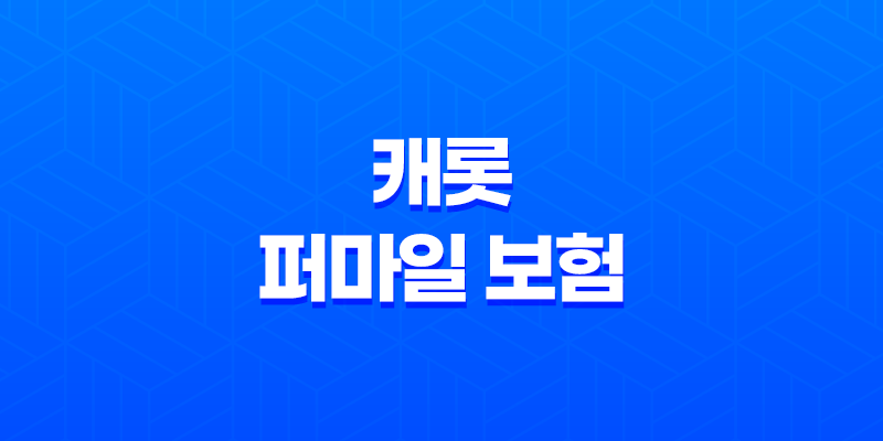 캐롯 퍼마일 보험 - 2025년 꼭 알아야 할 최신 정보 - 캐롯 퍼마일 자동차보험 장단점 및 후기 8 캐롯 퍼마일 보험 - 2025년 꼭 알아야 할 최신 정보 - 캐롯 퍼마일 자동차보험 장단점 및 후기 7