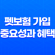 펫보험 가입의 중요성과 혜택, 반려동물을 위한 보호 방법 2023년 21
