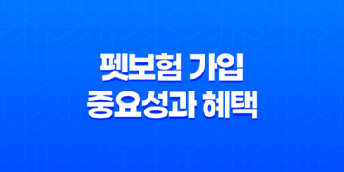 펫보험 가입의 중요성과 혜택, 반려동물을 위한 보호 방법 2023년 45