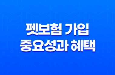 펫보험 가입의 중요성과 혜택, 반려동물을 위한 보호 방법 2023년 19