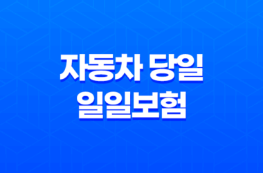 자동차 당일 일일보험 장점과 단점 17
