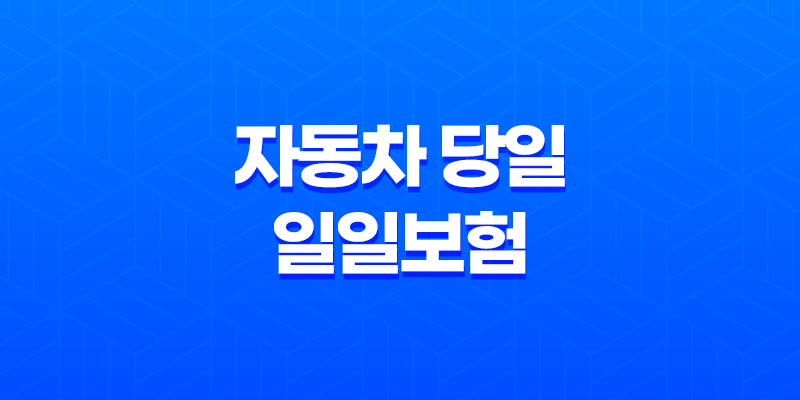 자동차 당일 일일보험 장점과 단점 8 자동차 당일 일일보험 장점과 단점 7