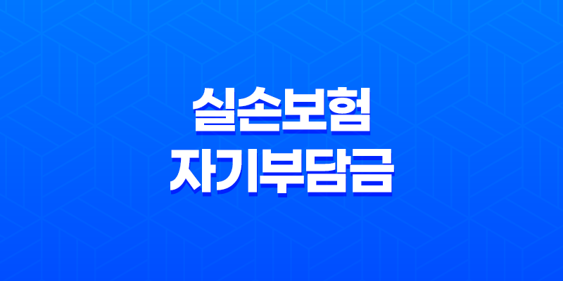 실손보험 자기부담금 완벽 정리 - 선택 방법과 차이점 비교 8 실손보험 자기부담금 완벽 정리 - 선택 방법과 차이점 비교 7