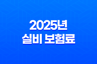 2025년 실비 보험료 - 인상 기준, 평균, 연말정산, 청구 서류 완벽 분석 27