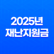 2025년 재난지원금 25만원 신청방법부터 사용처까지 총정리 (민생회복 소비쿠폰) 11