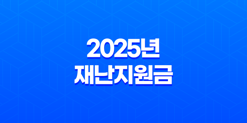 2025년 재난지원금 25만원 신청방법부터 사용처까지 총정리 (민생회복 소비쿠폰) 8 2025년 재난지원금 25만원 신청방법부터 사용처까지 총정리 (민생회복 소비쿠폰) 7