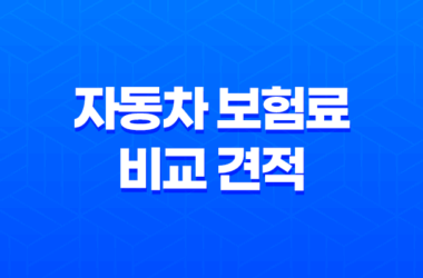 2025년 자동차 보험료 비교 견적 - 다이렉트 자동차 보험료 비교 견적 사이트 완벽 분석 17
