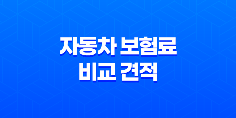 2025년 자동차 보험료 비교 견적 - 다이렉트 자동차 보험료 비교 견적 사이트 완벽 분석 7
