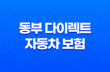 동부 다이렉트 자동차 보험 - 꼭 필요한 정보 3가지 17