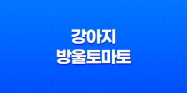 강아지 방울토마토 급여하기 방법과 주의사항 27