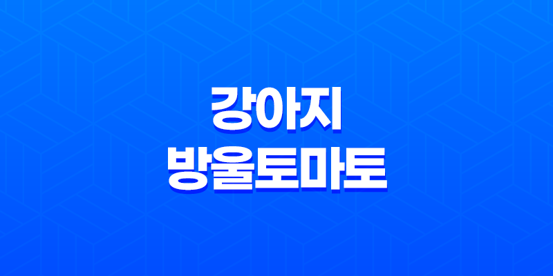 강아지 방울토마토 급여하기 방법과 주의사항 8 강아지 방울토마토 급여하기 방법과 주의사항 7