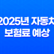 2025년 자동차 보험료 예상 - 내 차 보험료, 얼마나 나올까? 23