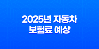 2025년 자동차 보험료 예상 - 내 차 보험료, 얼마나 나올까? 45