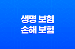 생명 보험 손해 보험 : 2025년 완벽 비교 가이드 - 차이점, 장단점, 겸영 금지 이유 71