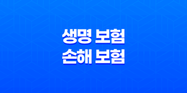 생명 보험 손해 보험 : 2025년 완벽 비교 가이드 - 차이점, 장단점, 겸영 금지 이유 23
