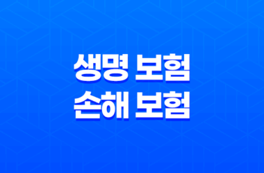 생명 보험 손해 보험 : 2025년 완벽 비교 가이드 - 차이점, 장단점, 겸영 금지 이유 61