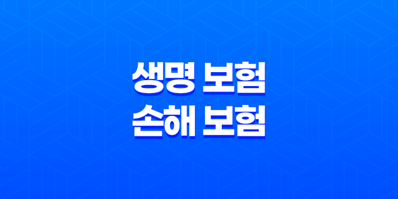 생명 보험 손해 보험 : 2025년 완벽 비교 가이드 - 차이점, 장단점, 겸영 금지 이유 8 생명 보험 손해 보험 : 2025년 완벽 비교 가이드 - 차이점, 장단점, 겸영 금지 이유 7