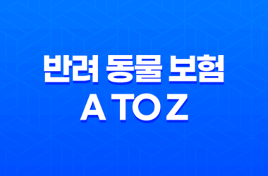 2025년 반려 동물 보험 A to Z 파헤치기 - 슬기로운 펫생활 23