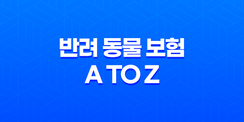 2025년 반려 동물 보험 A to Z 파헤치기 - 슬기로운 펫생활 7