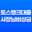 토스뱅크대출 사장님 비상금 신청 방법 총정리 41