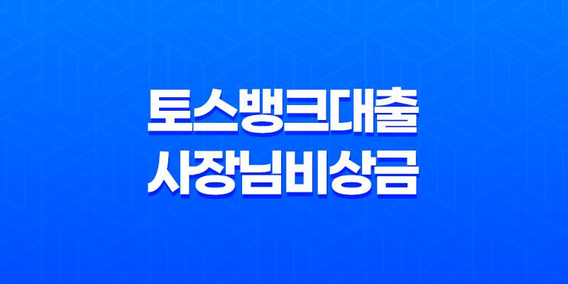 토스뱅크대출 사장님 비상금 신청 방법 총정리 8 토스뱅크대출 사장님 비상금 신청 방법 총정리 7