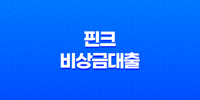 핀크 비상금대출, 300만원까지 무직자도 가능한 대출 상품 8 핀크 비상금대출, 300만원까지 무직자도 가능한 대출 상품 7