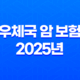 우체국 암 보험 2025년 최신 정보 : 가격, 장단점, 비갱신, 후기, 보장 내용, 청구 완벽 분석 33