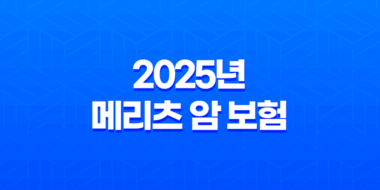 2025년 메리츠 암 보험 완전 분석 : 후기, 다이렉트, 보장 내용, 광고, 1906, 비갱신 - 핵심 가이드 47