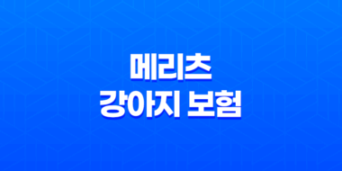 2025년 맞춤 메리츠 강아지 보험 - 꼼꼼 비교 분석으로 우리 댕댕이에게 딱 맞는 보험 찾기 27