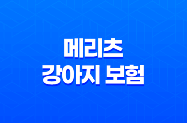 2025년 맞춤 메리츠 강아지 보험 - 꼼꼼 비교 분석으로 우리 댕댕이에게 딱 맞는 보험 찾기 13