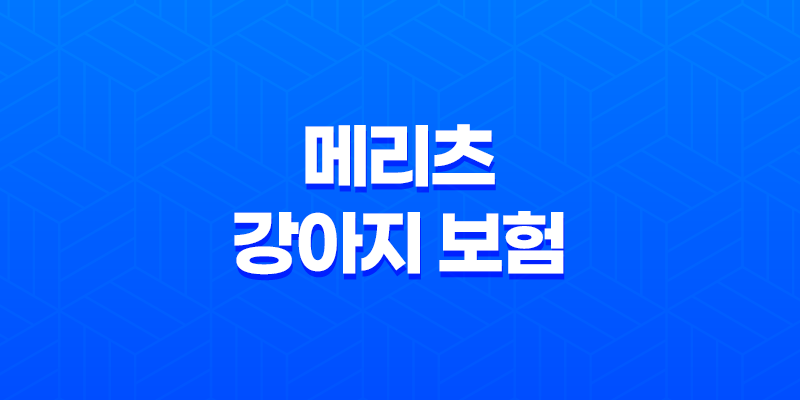 2025년 맞춤 메리츠 강아지 보험 - 꼼꼼 비교 분석으로 우리 댕댕이에게 딱 맞는 보험 찾기 7