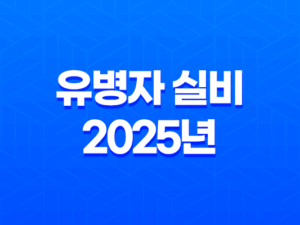 유병자 실비 - 2025년 최신 정보 - 10가지 핵심 질문과 답변 25