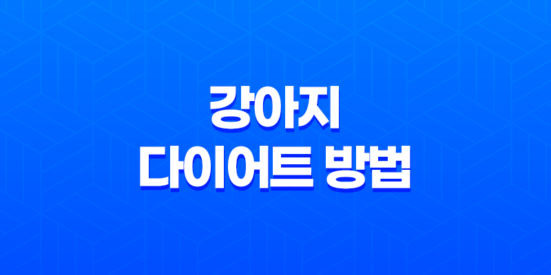 강아지 다이어트 방법, 건강한 체중 관리를 위한 실용적인 팁 8 강아지 다이어트 방법, 건강한 체중 관리를 위한 실용적인 팁 7