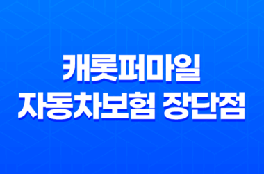 캐롯퍼마일 자동차보험 장단점과 선택방법 (2023년) 19