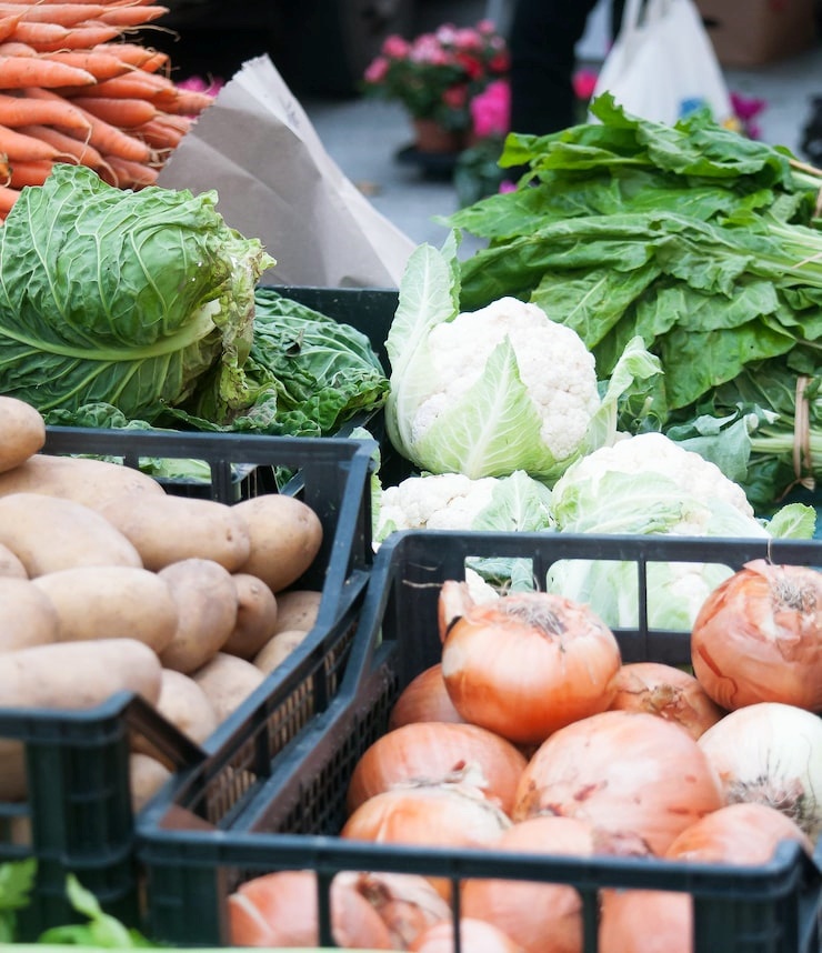 상생페이백 0원 나오는 진짜 이유? 환급 못 받는 5가지 경우 완벽 분석 13