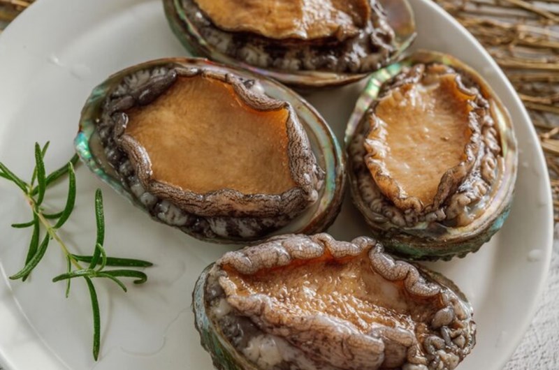 전복 효능 부작용, 손질법 14 전복 효능 부작용, 손질법 13