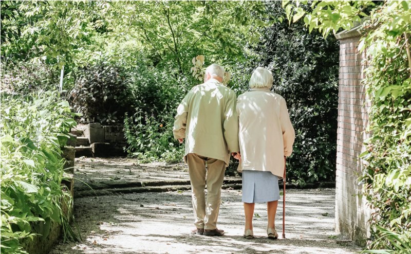10가지 핵심 체크포인트 고령자 건강보험 맞춤 설계 가이드 636