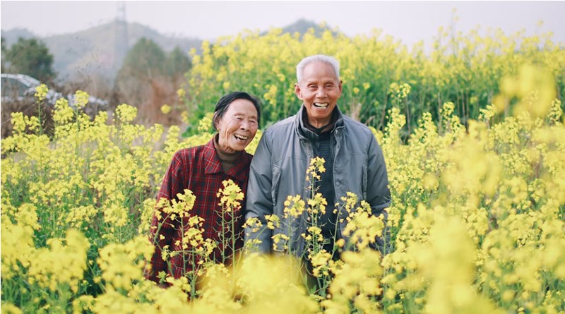 10가지 핵심 체크포인트 고령자 건강보험 맞춤 설계 가이드 648