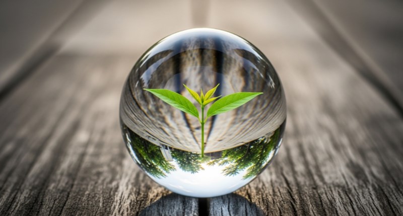 카카오페이 손해보험(+ 2025년, 내게 맞는 보험을 톡톡!) 155