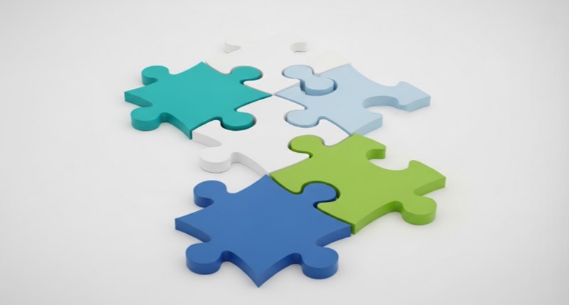 슬기로운 2025년 반려견 보험 가이드(+ 펫팸족을 위한 맞춤 정보) 18 슬기로운 2025년 반려견 보험 가이드(+ 펫팸족을 위한 맞춤 정보) 17