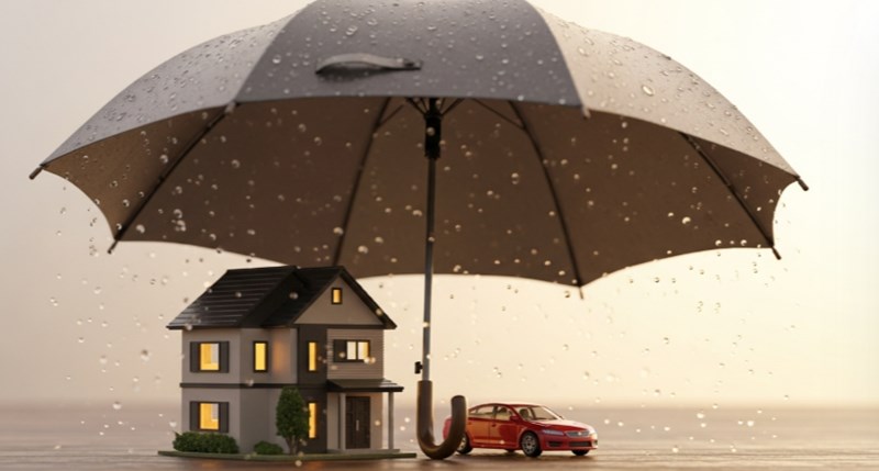 2025년 자동차보험 다이렉트 비교 - 꼼꼼하게 따져보고 저렴하게 가입하는 방법 627