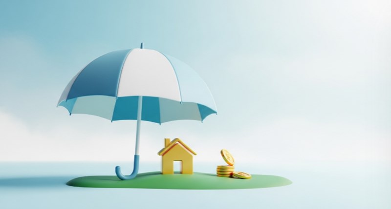 손해 보험사 - 2025년 알아야 할 모든 것(+ 순위, 종류, 자격증, 연봉, 취업 완벽 분석) 119