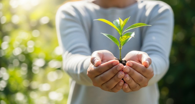 2025년 라이나생명 홈페이지에서 확인하는 고객 맞춤 정보와 혜택 총정리 18 2025년 라이나생명 홈페이지에서 확인하는 고객 맞춤 정보와 혜택 총정리 17