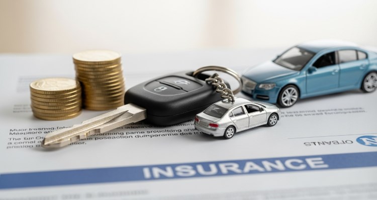 2025년 자동차 보험 비교 조회 719