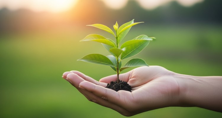 자녀 건강 보험 - 2025년 피부양자 등록 및 자격 득실 확인 완벽 가이드 615