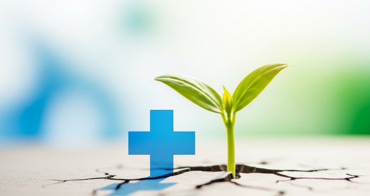 종합 보험 2025년 완벽 가이드, 10가지 핵심 질문과 전문가 상세 분석 350