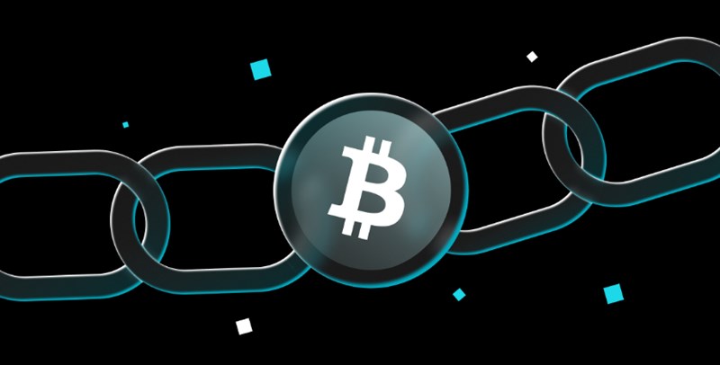 최초의 비트코인, 제네시스 블록(Genesis Block) 블록체인의 기원과 의미 15 최초의 비트코인, 제네시스 블록(Genesis Block) 블록체인의 기원과 의미 14