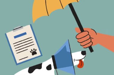 2025년 펫 보험 가격 심층 분석 4가지 핵심 11